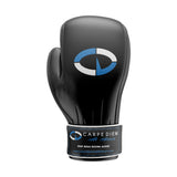 Carpe Diem Boxing Gloves - 12oz